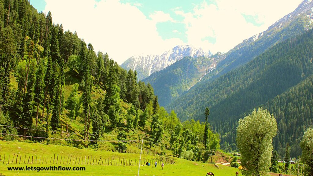 Aru Valley Kashmir